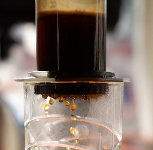 Aeropress Brew Guide: Ratios & Instructions